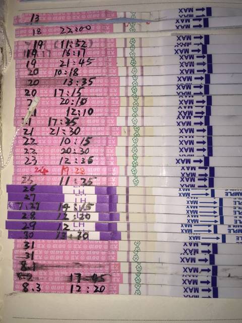 例假推迟了4天,排卵试纸慢慢有弱变强,早早孕