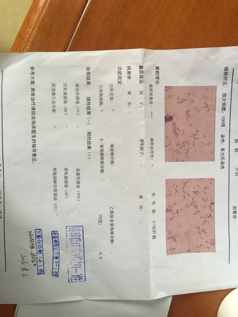 谁是医生帮忙看看化验结果。孕36周白带化验