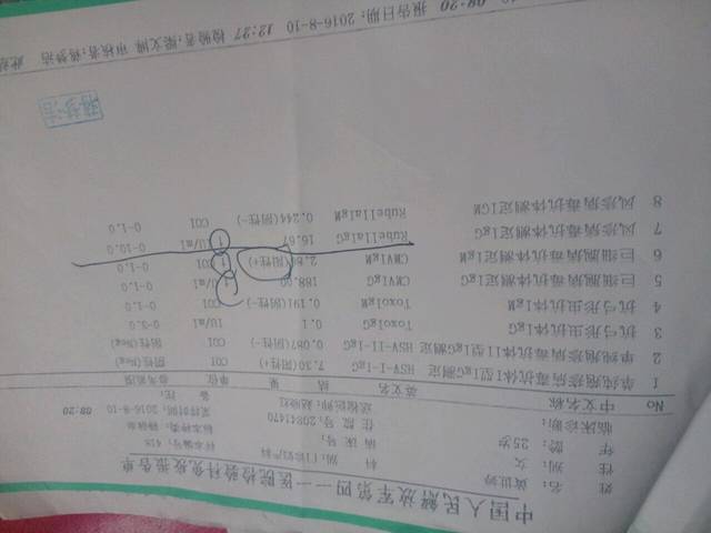 怀孕11周检查出巨细胞病毒抗体是阳性怎么办