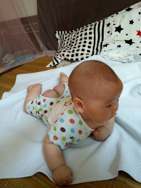 爱你全心全意_宝宝每个接段_宝宝树