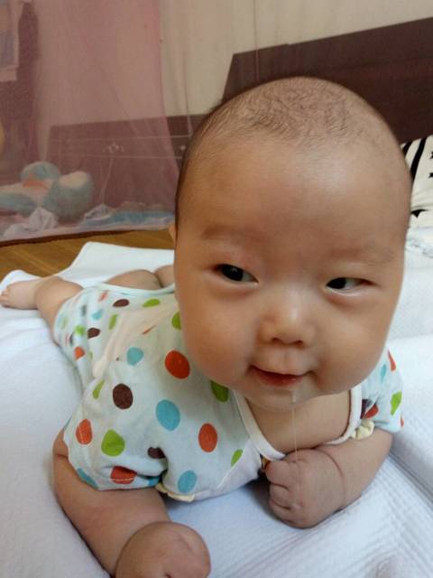 爱你全心全意_宝宝每个接段_宝宝树