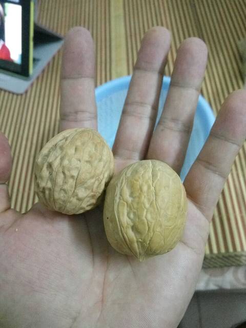 12周了,有点头疼发烧_什么方法可以缓解呢,吐