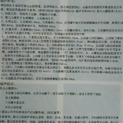 前几天在武汉协和医院做的胎儿超声心动图,拿到报告单,医生说生下来