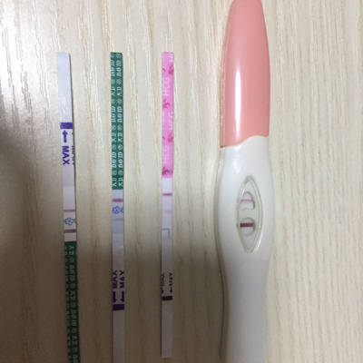 上个月16号来月经,到昨天测试了几次都是双杠