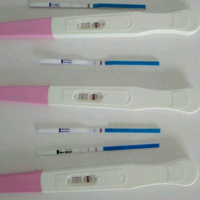 journal_insert_pic_578505461