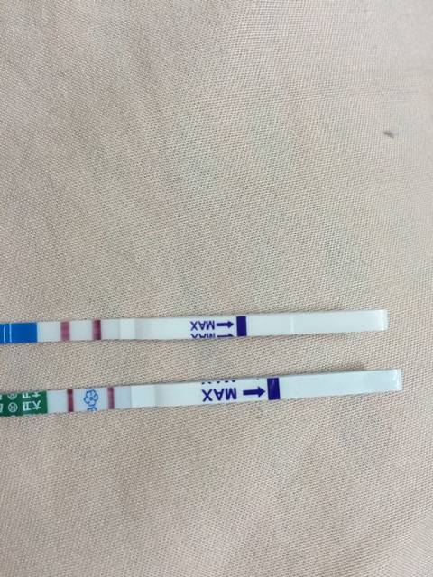 大卫颜色和hcg对比_下图试纸颜色时,hcg测出来有4100_宝宝树