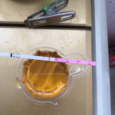 我月经推迟三天了,用验孕试纸测两条杠,23号之