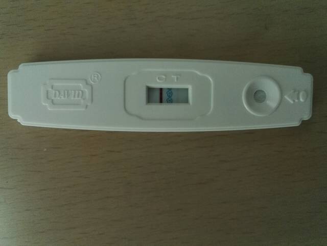 希望好孕_末次10.9，今天4号大卫验孕棒结果如下图，几号去_宝宝树