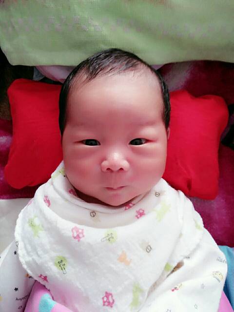 接二胎男宝的来吧!_怀孕前期吐,后期一切顺利