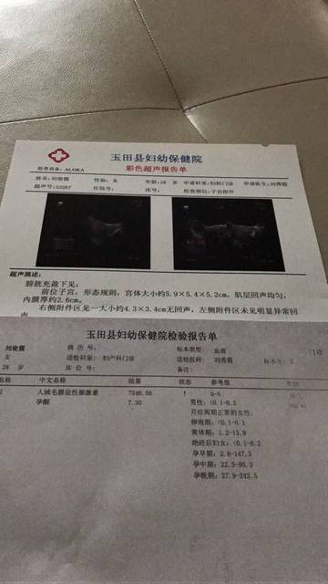 谁能看懂报告单_按照日子算已经7周了,不过做