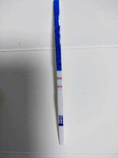 孕?_请宝妈们,帮我看看,这是怀孕了,还是假孕的