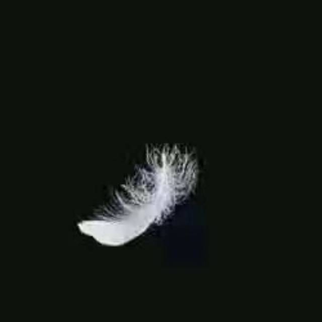 情人节毛都没有的,来来来!_情人节毛都没有的