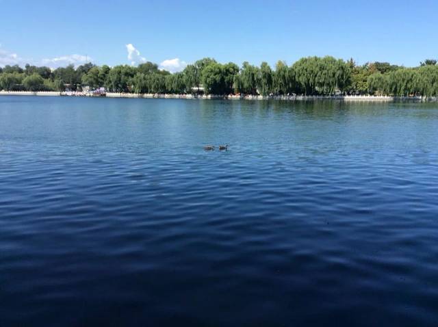 宝妈们,请问你们喝的孕妇奶粉是什么牌子的?_