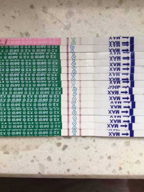 末次1.18,试纸颜色和hcg数值,供大家参考_最上面的早早_宝宝树