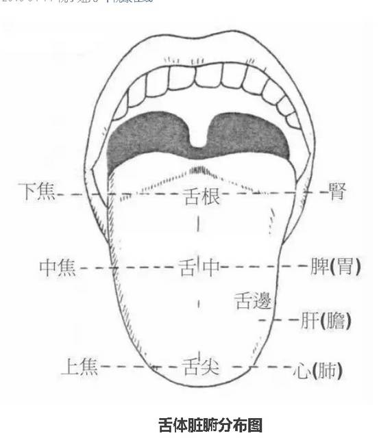 宝爸宝妈长知识(二):小儿舌诊详解