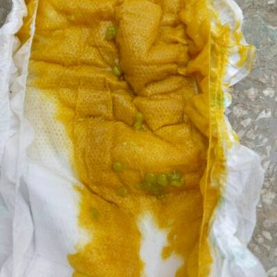 有没有宝宝大便中带有绿色颗粒,求宝妈解答