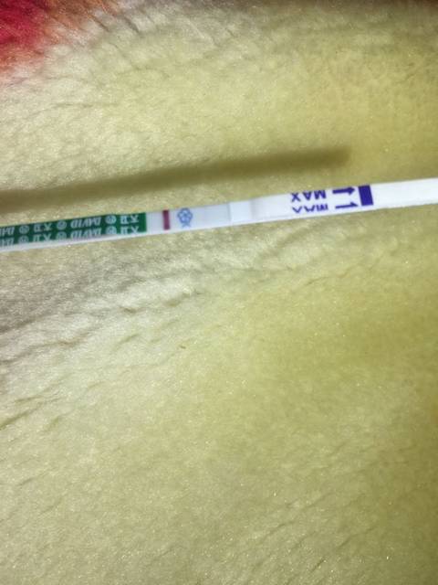 姐妹们帮我看看有没有第二条杠_25排卵26转淡