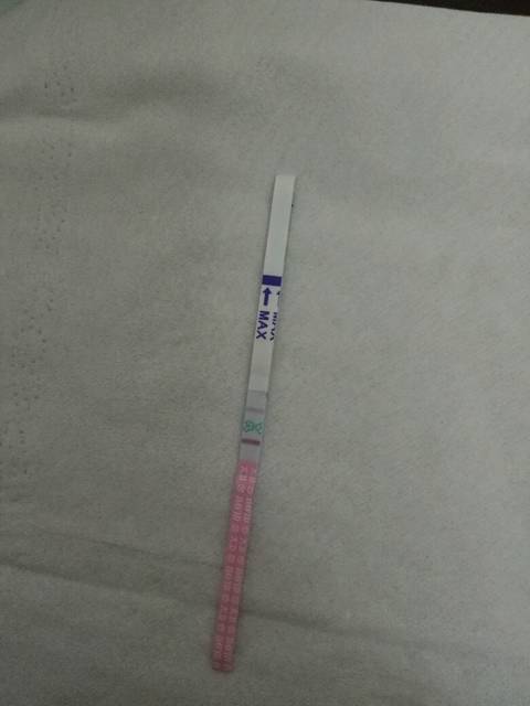 卵_早早孕大白板,没有没有任何反应!排_宝宝树