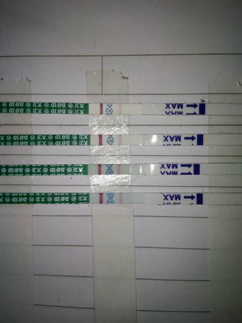 末次月经2月19_去医院查血要花多少钱