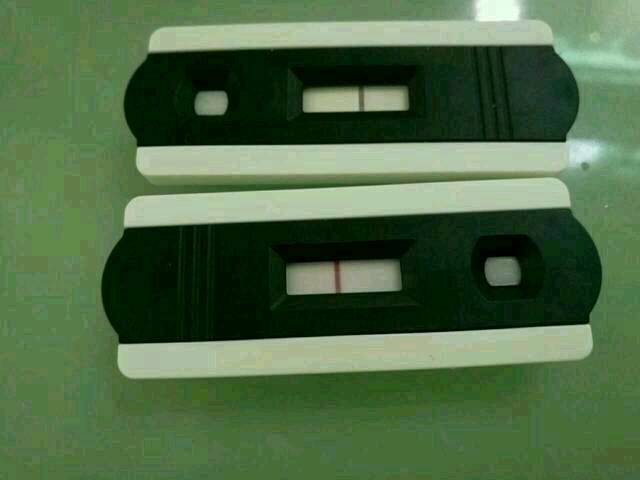 怀孕一个月知道宝宝男女了_怀孕一个月不去医