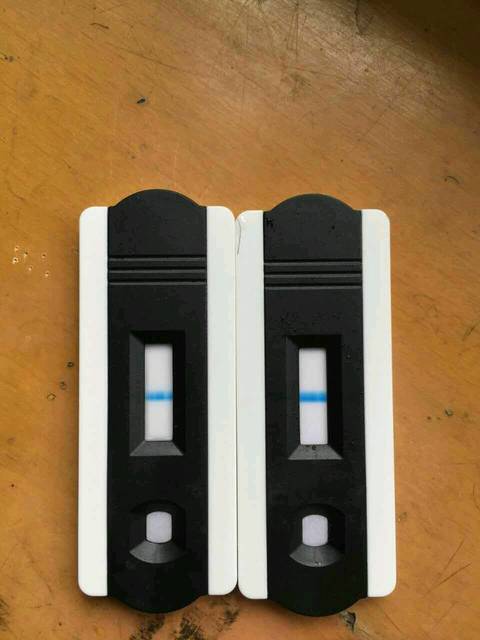 超准的怀孕短短30几天知道宝宝男女_好奇宝宝