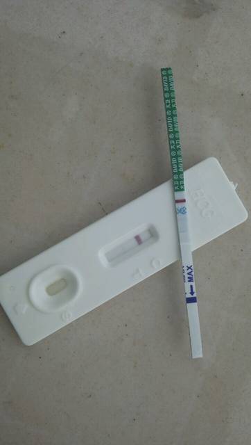 移植后吃酸姜会影响胚胎着床吗_我移植鲜胚1