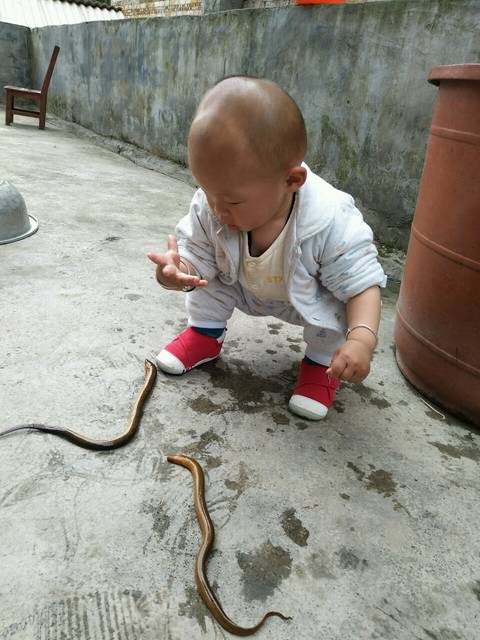 求问大家我家宝宝头上像发箍这个是不是方颅呀