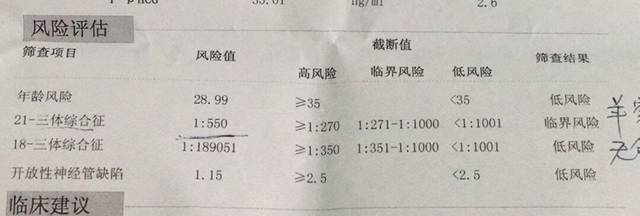 唐筛有个21综合体项目处于临界风险_在芜湖中