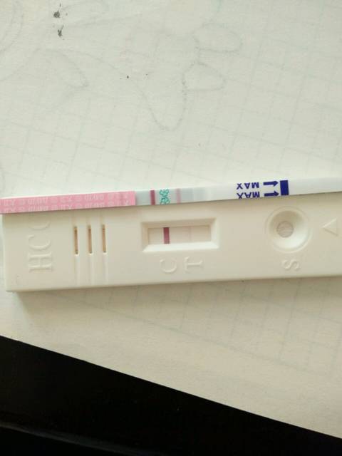 怀孕后排卵试纸变化_蛮好奇的做了这个测试。