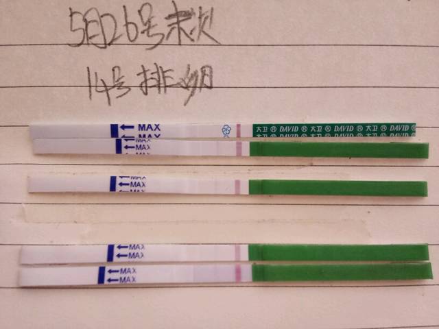 月经前排卵试纸弱阳,是不是没怀孕啊