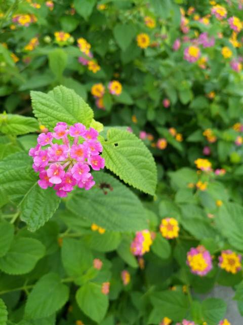 【合生元法式妈妈修炼术】做一个美美哒麻麻