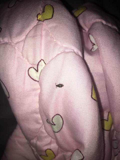 各位宝妈,房间有小蟑螂怎么处理_最近房间好多