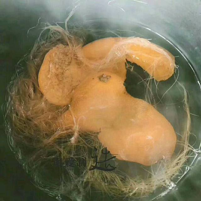 看过来_【生活小妙招】 玉米须和橘子皮煮水,