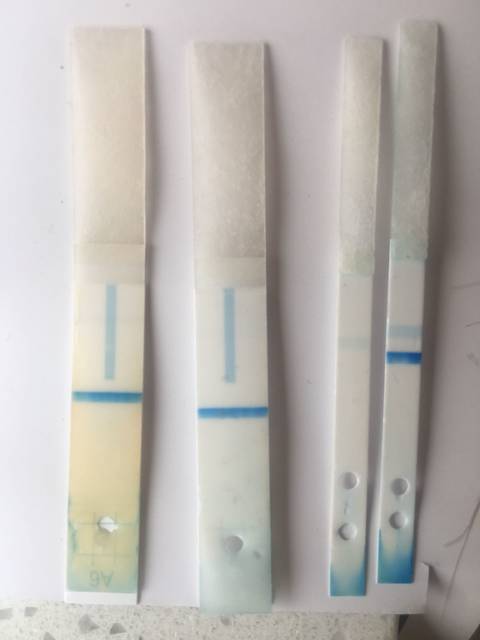 我把这几天的可丽蓝都拆开了,大家帮我看看_第