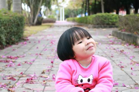 journal_insert_pic_933077229
