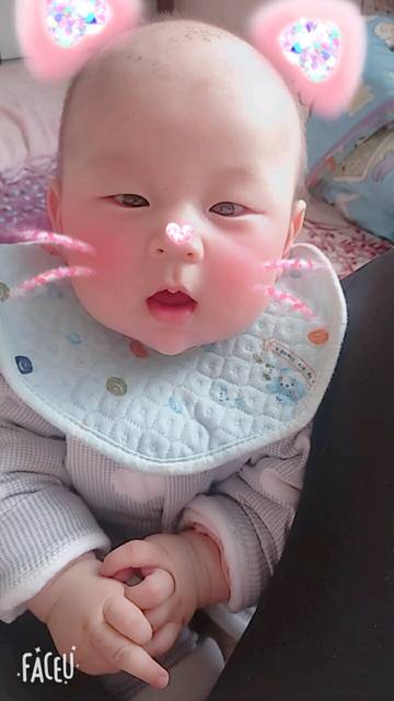 草原赛马宝宝对眼马视频图片