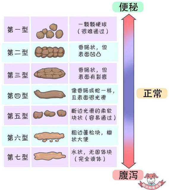 宝宝大便颜色正常嘛?有图慎入