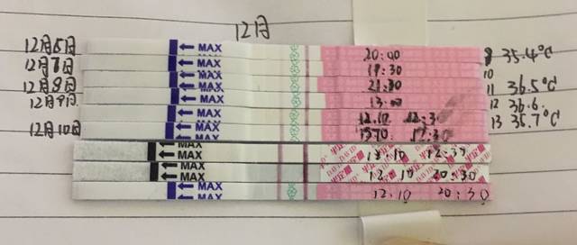 ,姐妹们帮忙看下半定量和排卵试纸