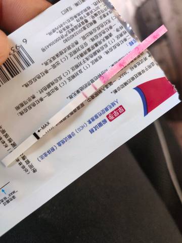上海借卵生子最好公立医院榜单!2023借卵费用详情公布