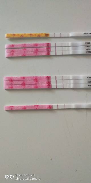 供卵做试管婴儿前期检查项目和流程月经期可以吗