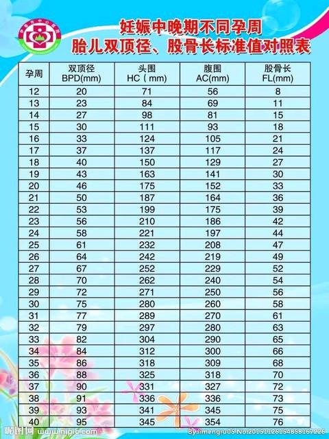 各个周胎儿发育指标对照表,供参考