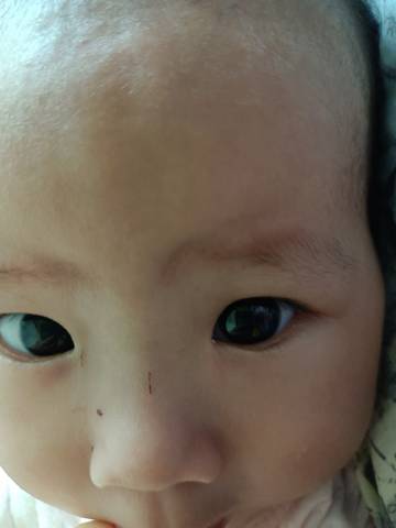 journal_insert_pic_1610404478