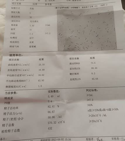 journal_insert_pic_2000118508