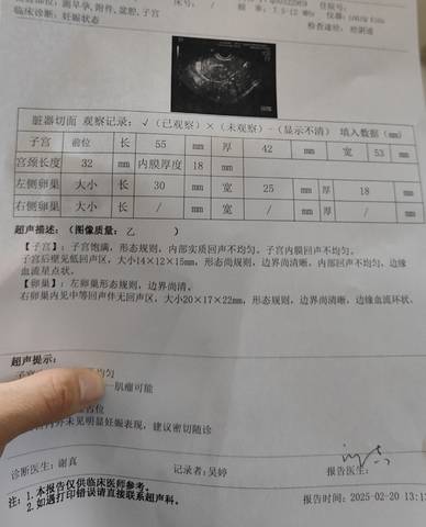 journal_insert_pic_4124978226
