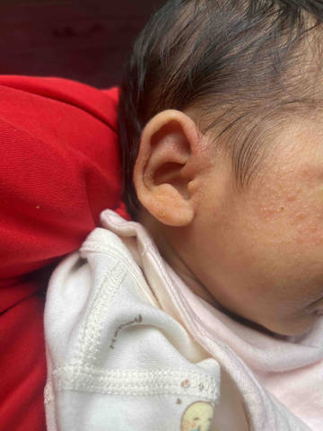 journal_insert_pic_4361312486