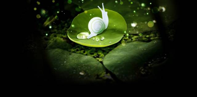 你家孩子成绩那么差,你还好意思分享育儿方法