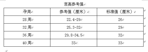 33 6周|测量宫高和腹围