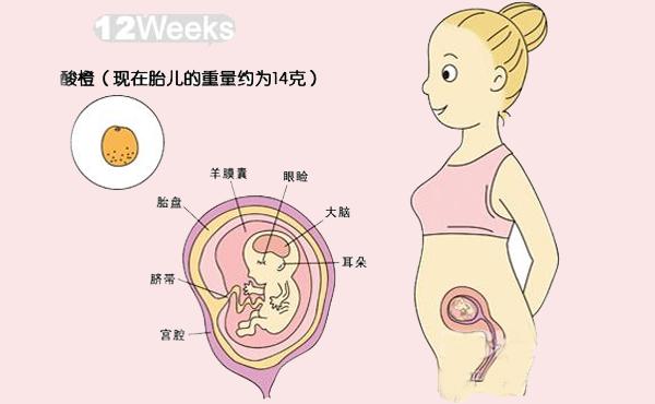 怀孕初期细微的表现，怀孕初期细微的表现图