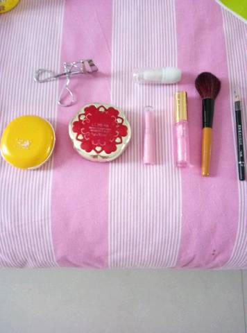journal_insert_pic_533098531