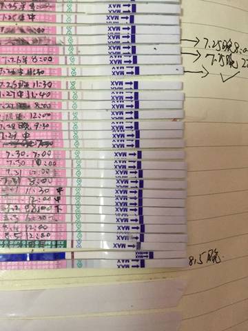 journal_insert_pic_545313753